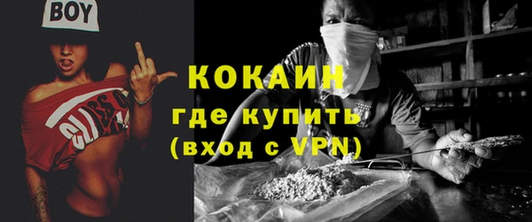 твердый Алексин