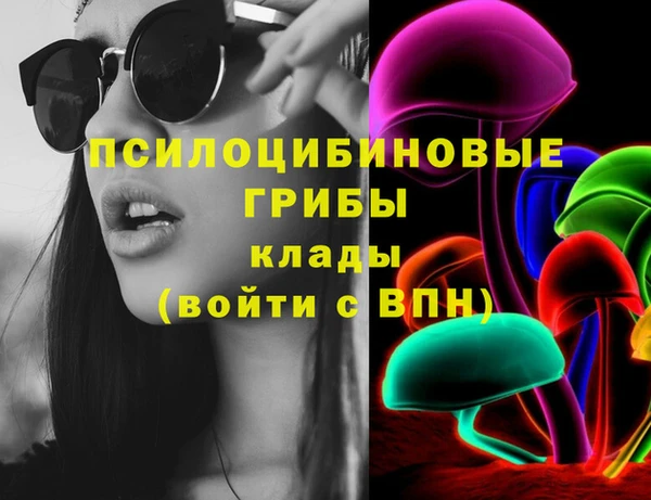 твердый Алексин