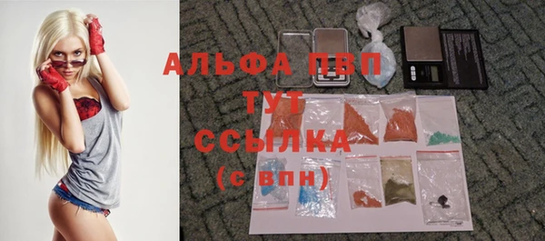 твердый Алексин