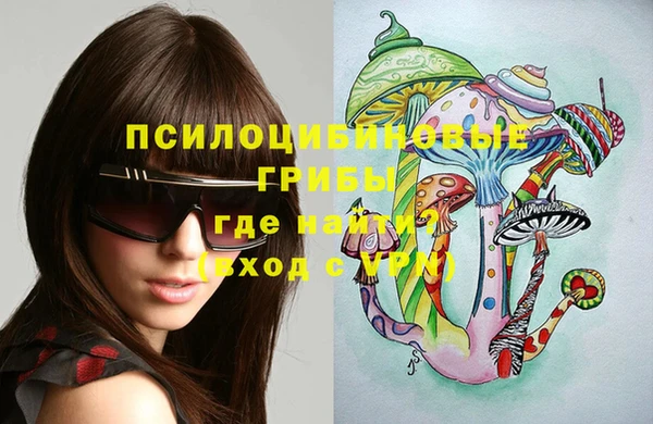 твердый Алексин