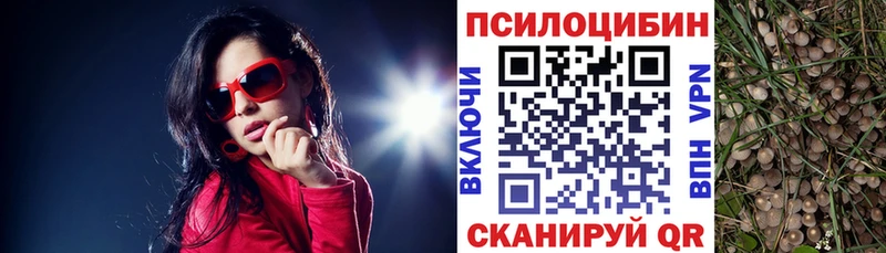 Псилоцибиновые грибы Psilocybine cubensis  даркнет сайт  гидра маркетплейс  Переславль-Залесский 
